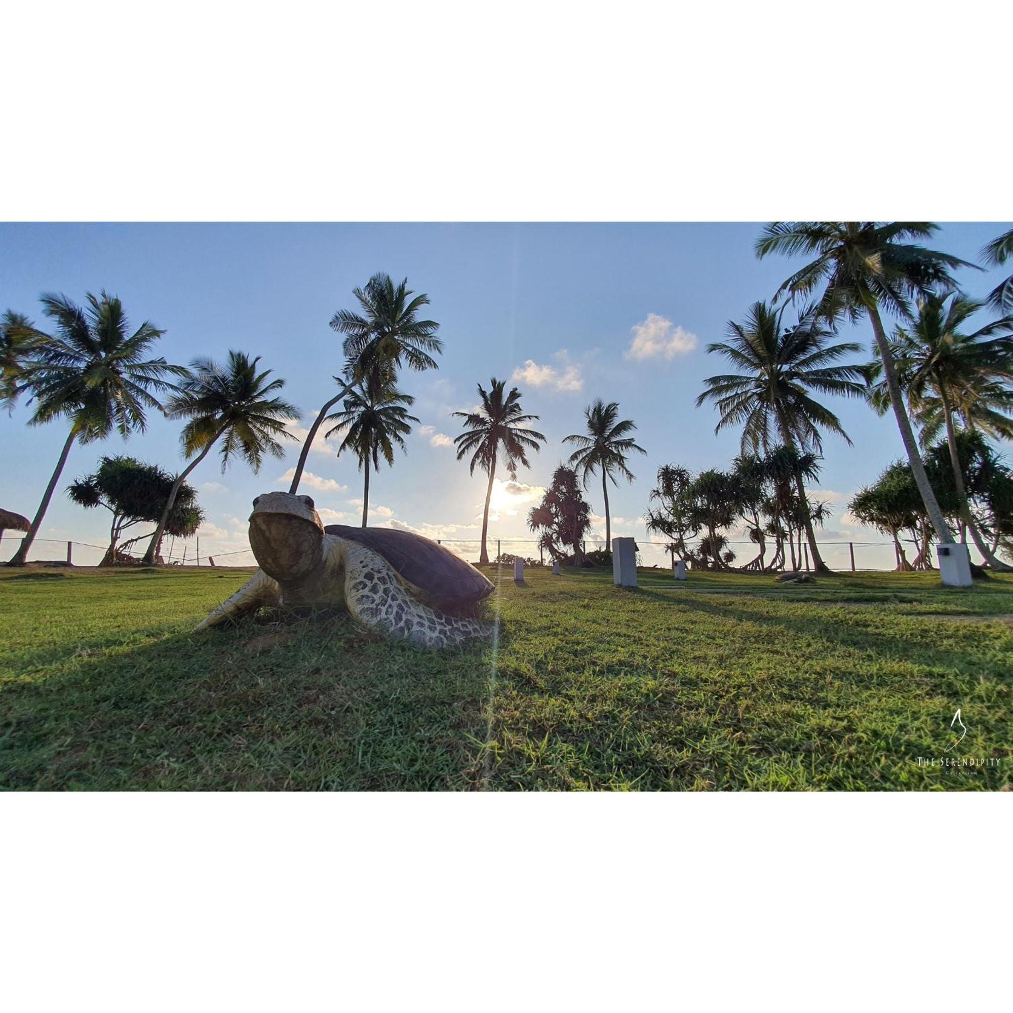 Green Turtle Villa By The Serendipity Collection Bentota Exterior foto